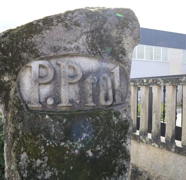 EXCAVACIONES PEDRO POL