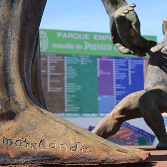 AÑOS DE EXPERIENCIA